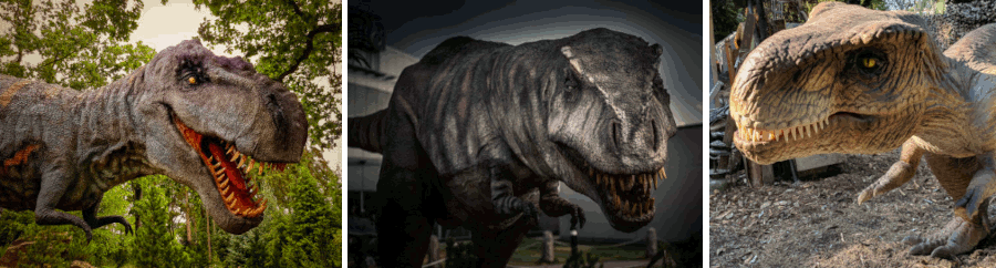 Image: dinosaurs